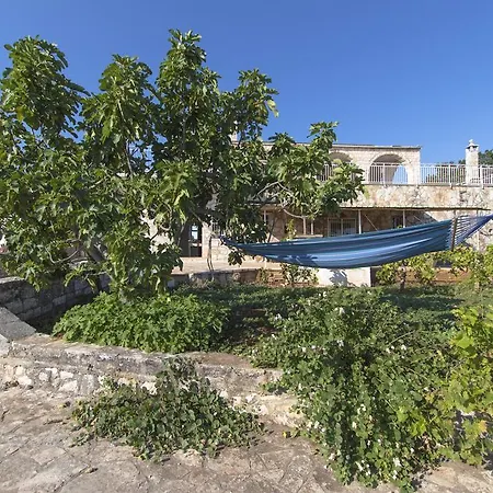 Bed & Breakfast In Fondo Strada Fasano